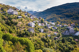 a mountaintop with a lot of trees and houses