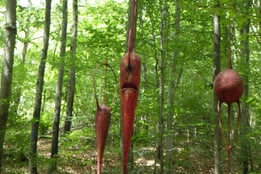 Vent des Forêts 