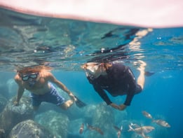 Snorkeling in Funchal, self-guided