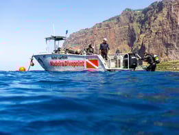 Snorkeling Boat in Funchal, guided tour