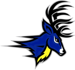 Deer Park DPHS DPMS Stags Spikes Go Stags Printing School