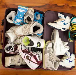 sneaker travel bag