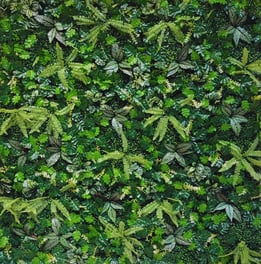 5D Plant Backdrop