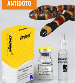 antidoto para mordedura de coralillo