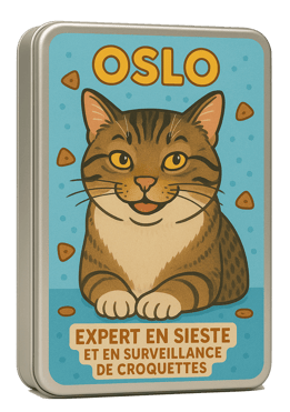 boite metallique Oslo personnalisée