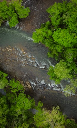 Sycamore Shoals Elizabethton TN