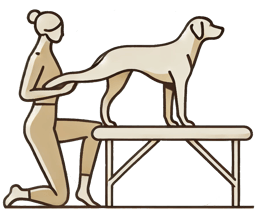 Ostéopathe pour chien logo