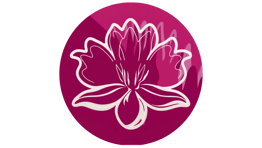 Anadê logo