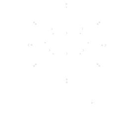 VIRALI STUDIO logo