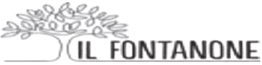 ilFontanone logo