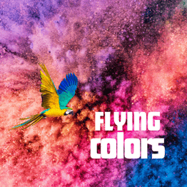 Flying Colors logo