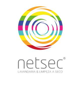 Netsec logo