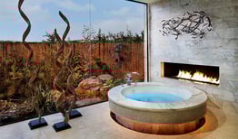 Chimeneas de Lujo