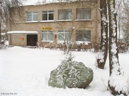 Ruzgų arba Dapšių akmuo su apskritimais, vadinamas Saulės akmeniu