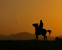Silhouette of Person Riding a Horse by Zeynep Seçer