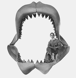 Machoire de mégalodon avec un homme assis dedans pour comparer la taille
