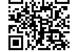 Payment link