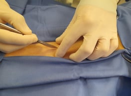cirugia veterinaria ambulante movil