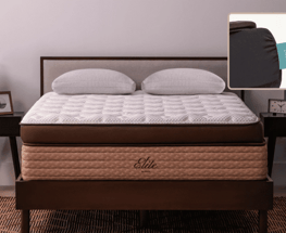 Online deals mattress showroom