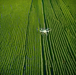 drone flying over a field of crops