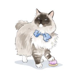 a cat with a blue bow tie and a cat