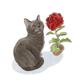 a cat sitting on a table with a flower in the background