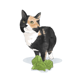 a cat standing on a leafy green leafy plant