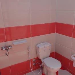 sanitair shared bathroom