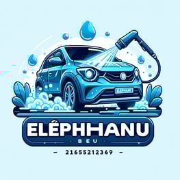 a car washer with a blue car washer