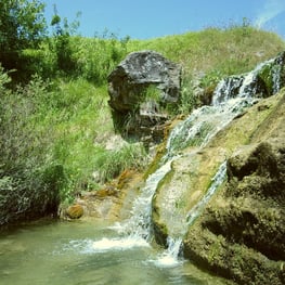 campsnap picture 10