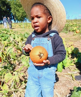 little boy in overalls at Gaver Farms pumpkin patch, holding a small pumpkin