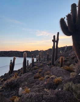 Amazing sunrise in Incahuasi Island, with giant cacti in Bolivia.