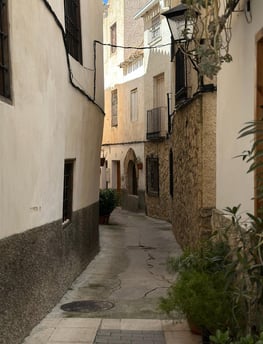 Calle letur
