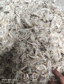 a person holding a pile of white duck feather