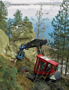 Spider excavator cleaning up debris on firesmart project near Kelowna BC