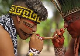 Indigena soprando a medicina do rapé com tepi