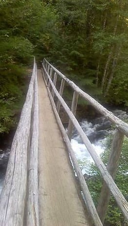 Eugene, OR - Footbridge across McKenzie River is 1/2 a log 30 inches wide heading to Sahalie Falls