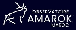 Observatoire AMAROK MAROC logo
