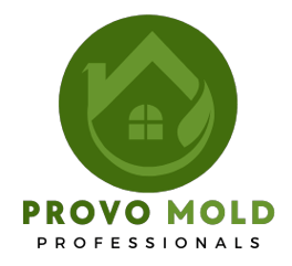 Mold Remediation Provo UT Solutions logo