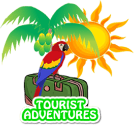 Tourist Adventures in Roatan logo