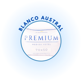 Austral - Emprende logo