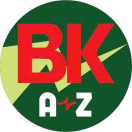 BKAZ – Giải pháp kiểm soát ra vào và thang máy chuyên nghiệp logo