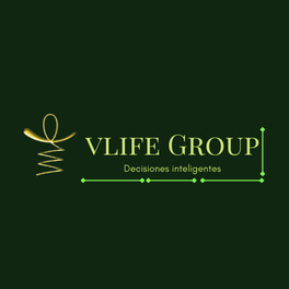 Vlife Group logo