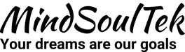 MindSoulTek logo