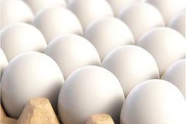 Wooden Eggs to decorate for Easter