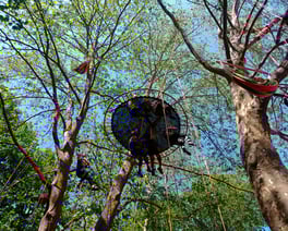 Platform with people on it, during a tree-climbing event