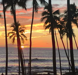 a sunset over the ocean with palm trees