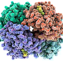 Simplified image of protein (hemoglobin)