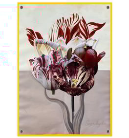 The Most Valuable Flower in the World - Vico Persson