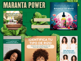 Maranta Power